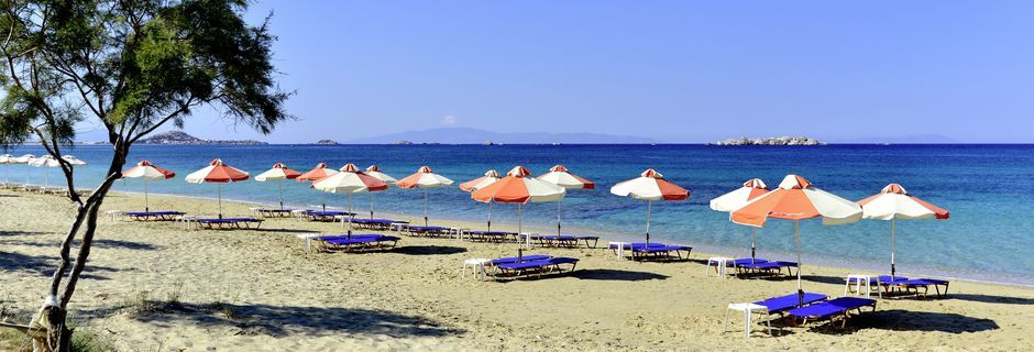 Agia Anna, Agios Prokopios & Plaka Beach