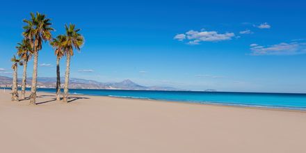 Playa de San Juan Alicantessa, mikä on yksi Espanjan parhaimmista rannoista.