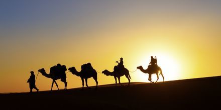 Auringonlasku aavikolla. Dubai, Arabiemiraatit.