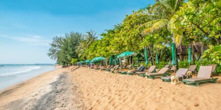 Läheinen ranta. Hotelli Baan Khaolak Beach Resort, Thaimaa.