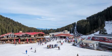 Bansko