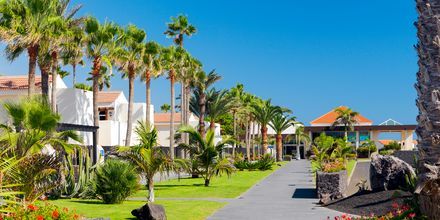 Hotelli Barcelo Castillo Beach Resort, Fuerteventura.