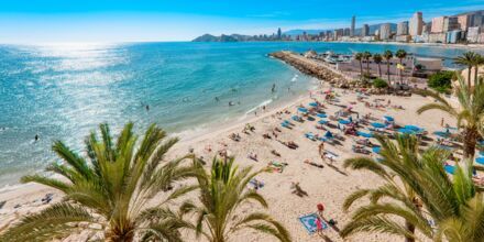 Benidorm