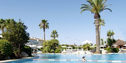 Allasalue. Hotelli BQ Alcudia Sunvillage, Mallorca, Espanja.