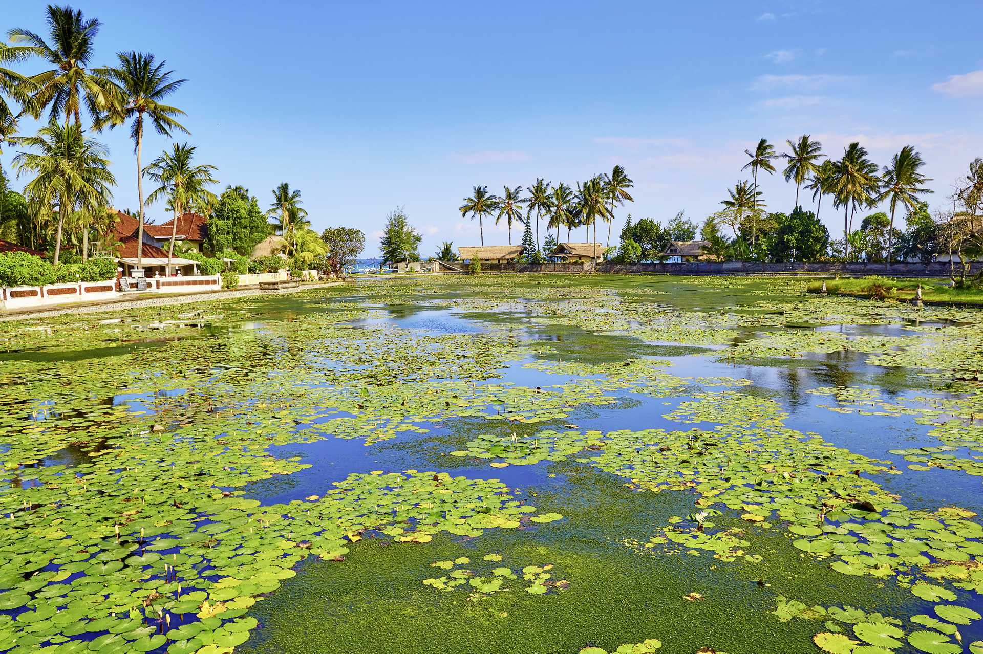 Lootus-laguuni. Candi Dasa, Bali.