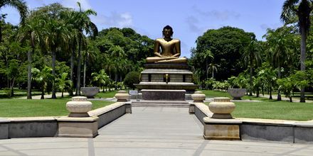 Viharamahadevi Park, Colombo, Sri Lanka.