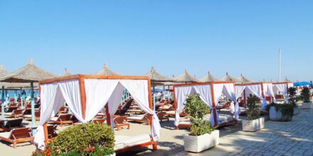 Läheinen ranta. Hotelli Diamma Resort, Durres Riviera, Albania.