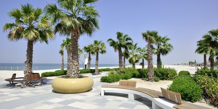 Ranta, Dubai Jumeirah Beach, Arabiemiraatit.