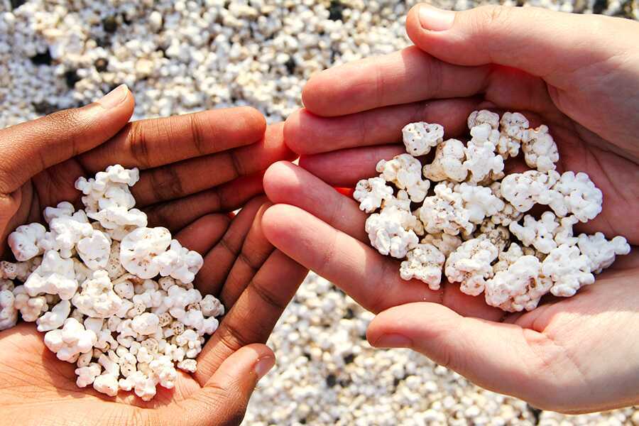 Pohjoisen kohokohdat