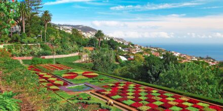 Kasvitieteellinen puutarha, Funchalissa.