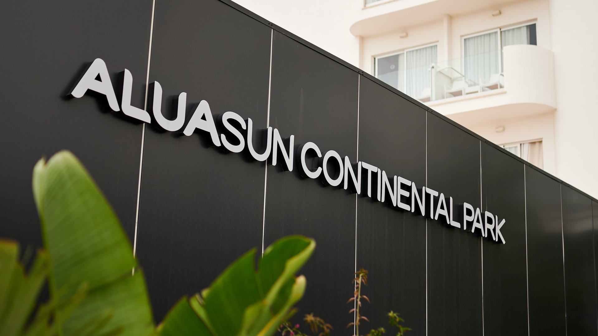 Aula