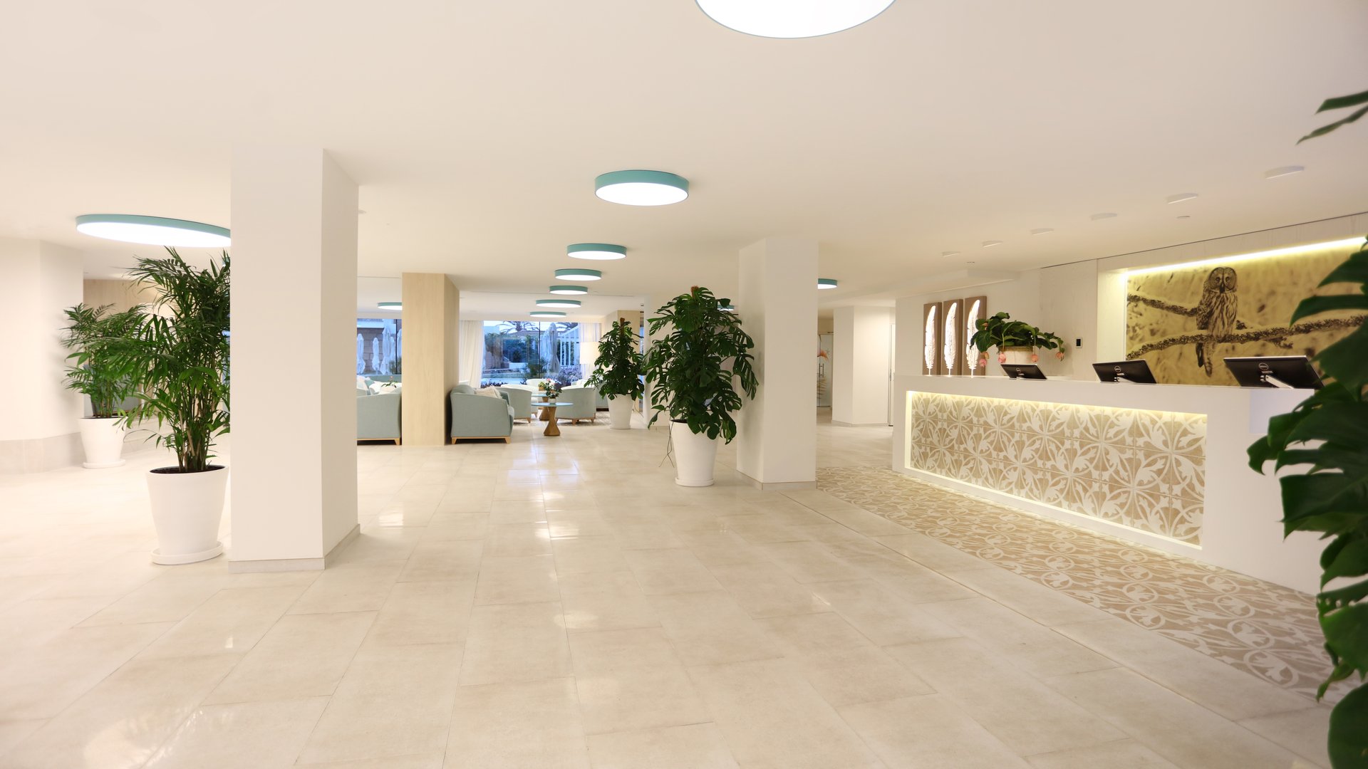 Aula