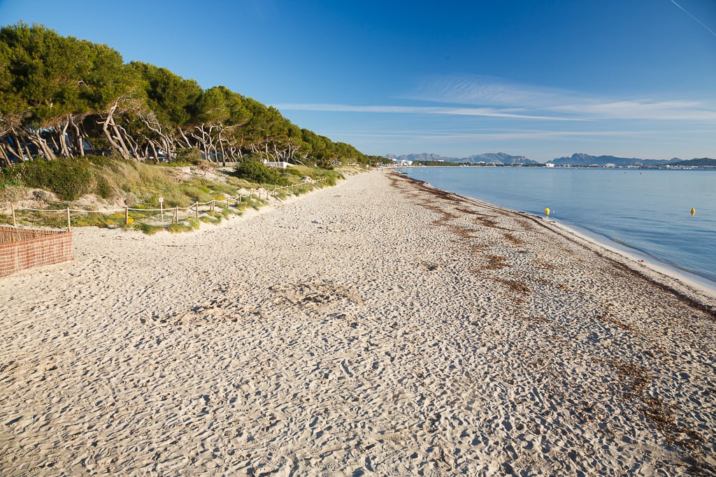 Ranta