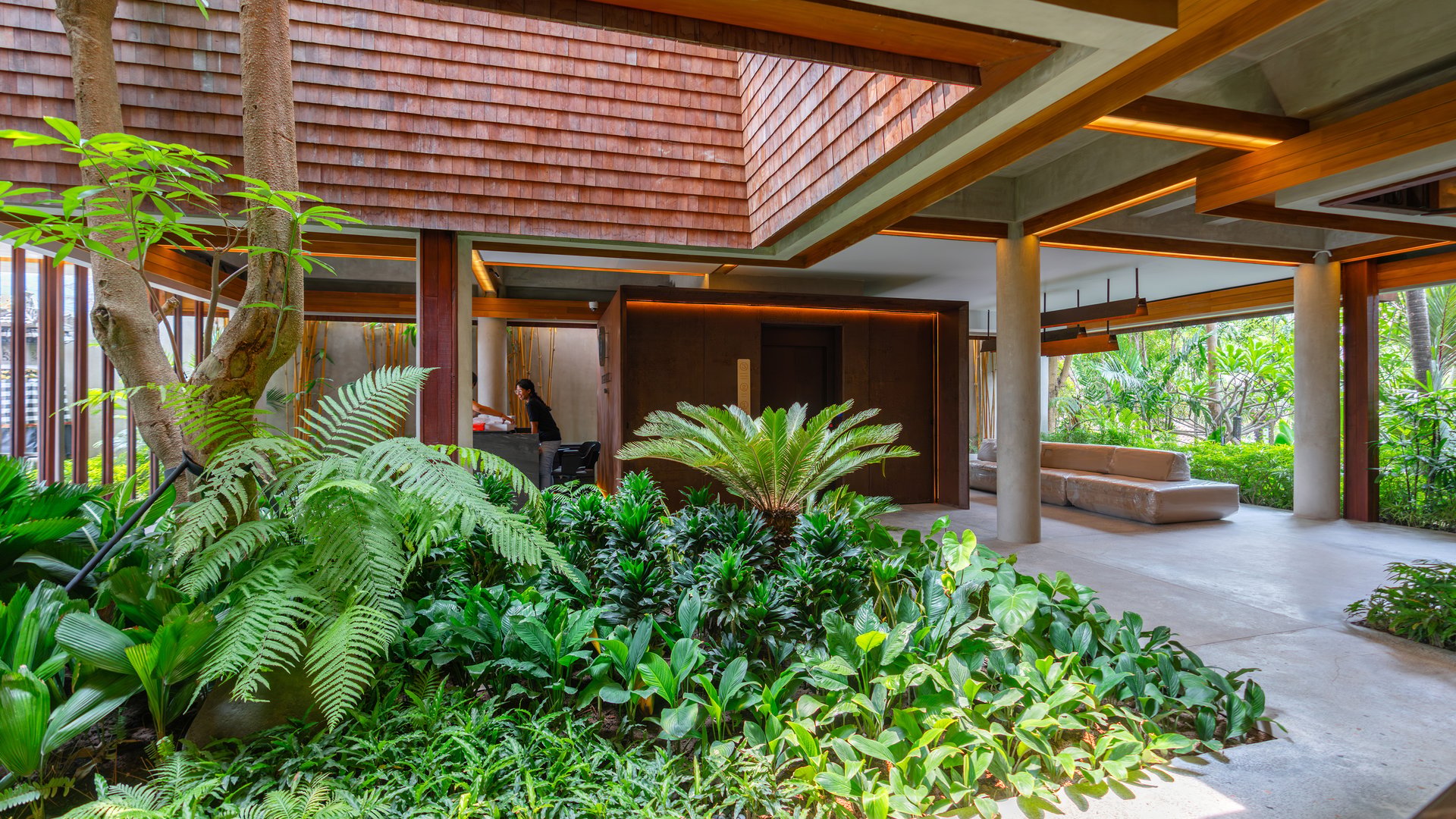 Aula
