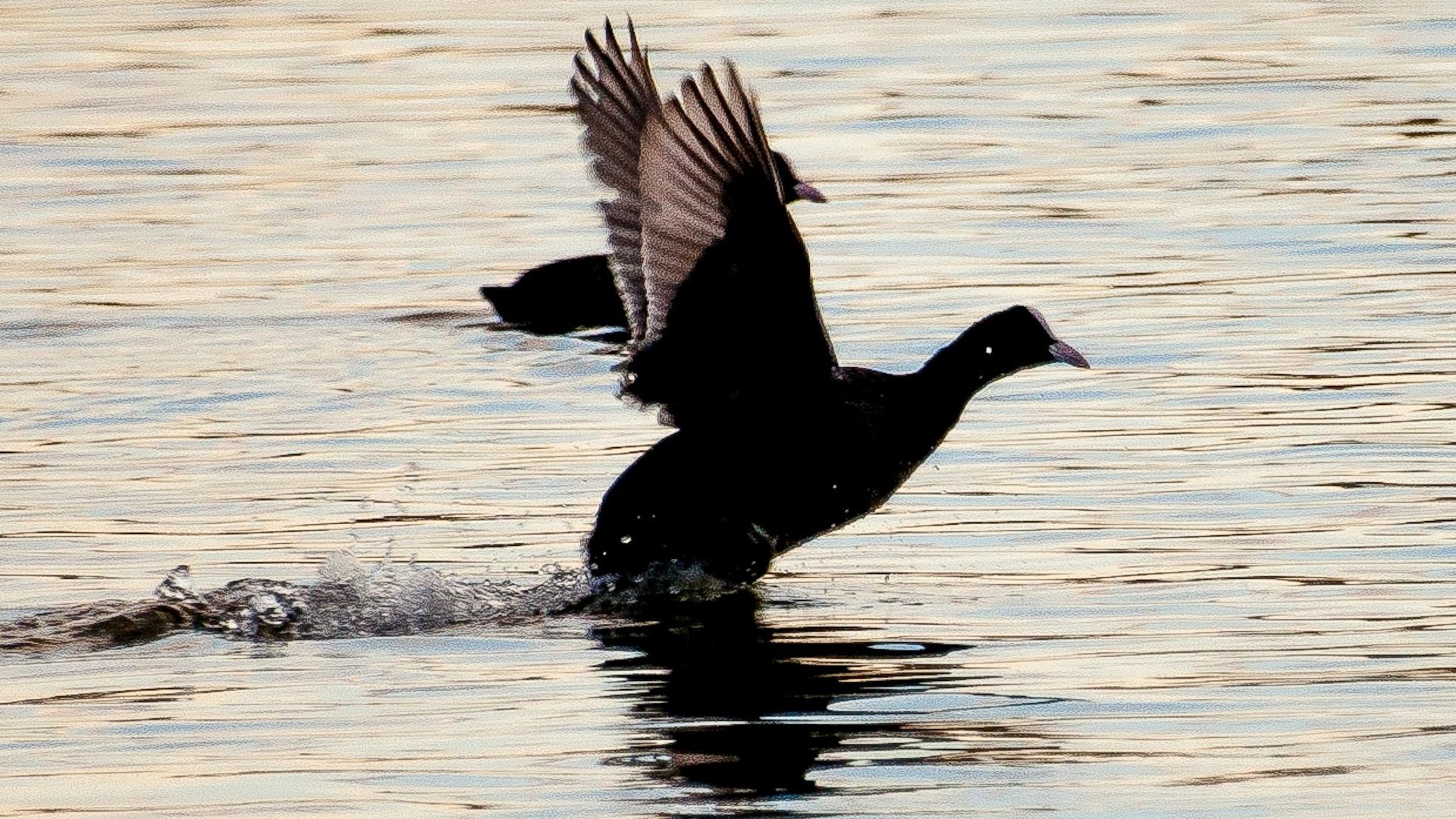 Yleisnäkymä