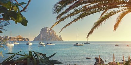Ibiza, joka sijaitsee Mallorcan kaakkoispuolella, on vehreä saari, jolla on paljon tarjottavaa.