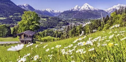 Itävalta sijaitsee keski-Euroopan sydämessä, josta löytyy myös ihanaa luontoa.