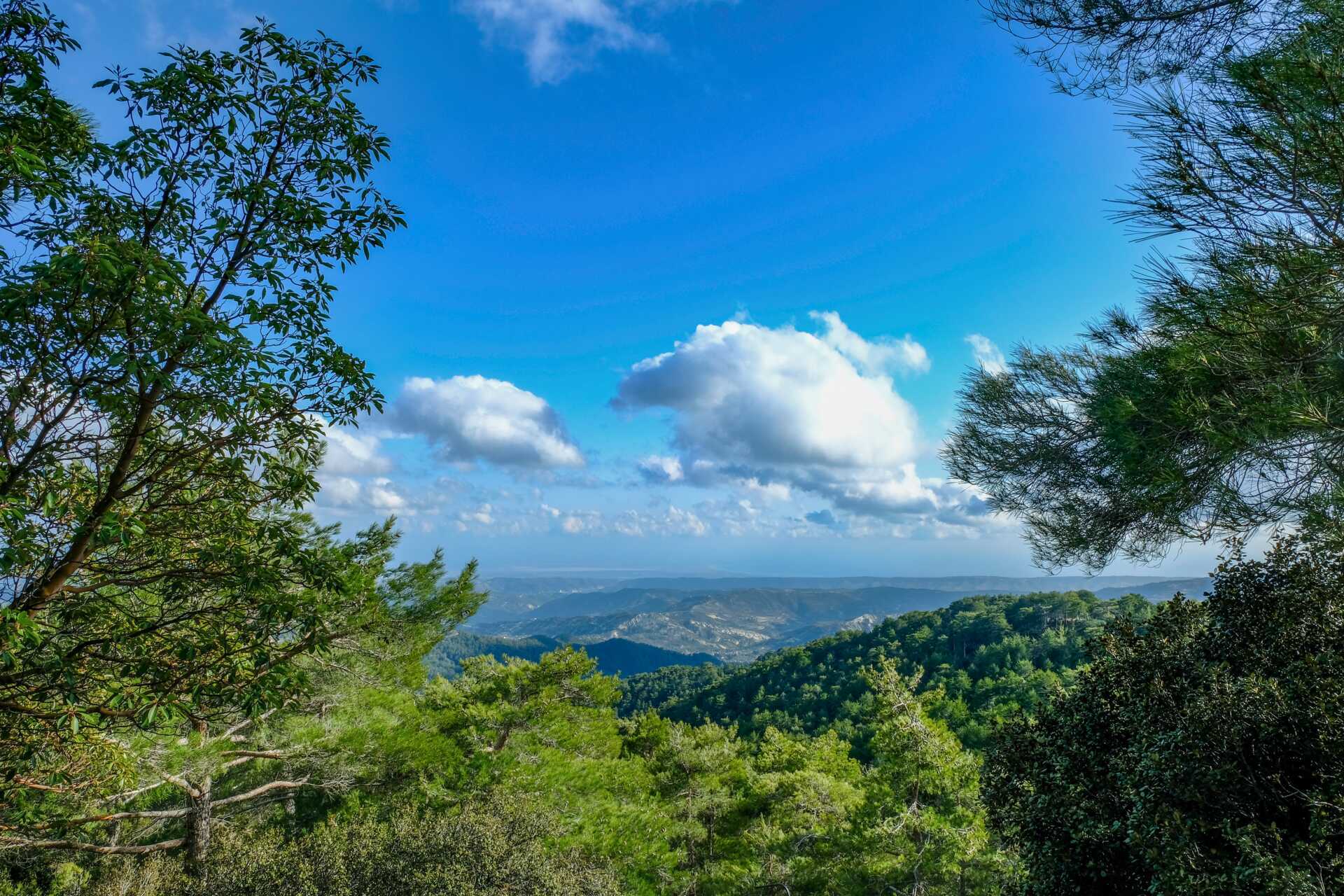 Jeeppisafari Troodos-vuorelle