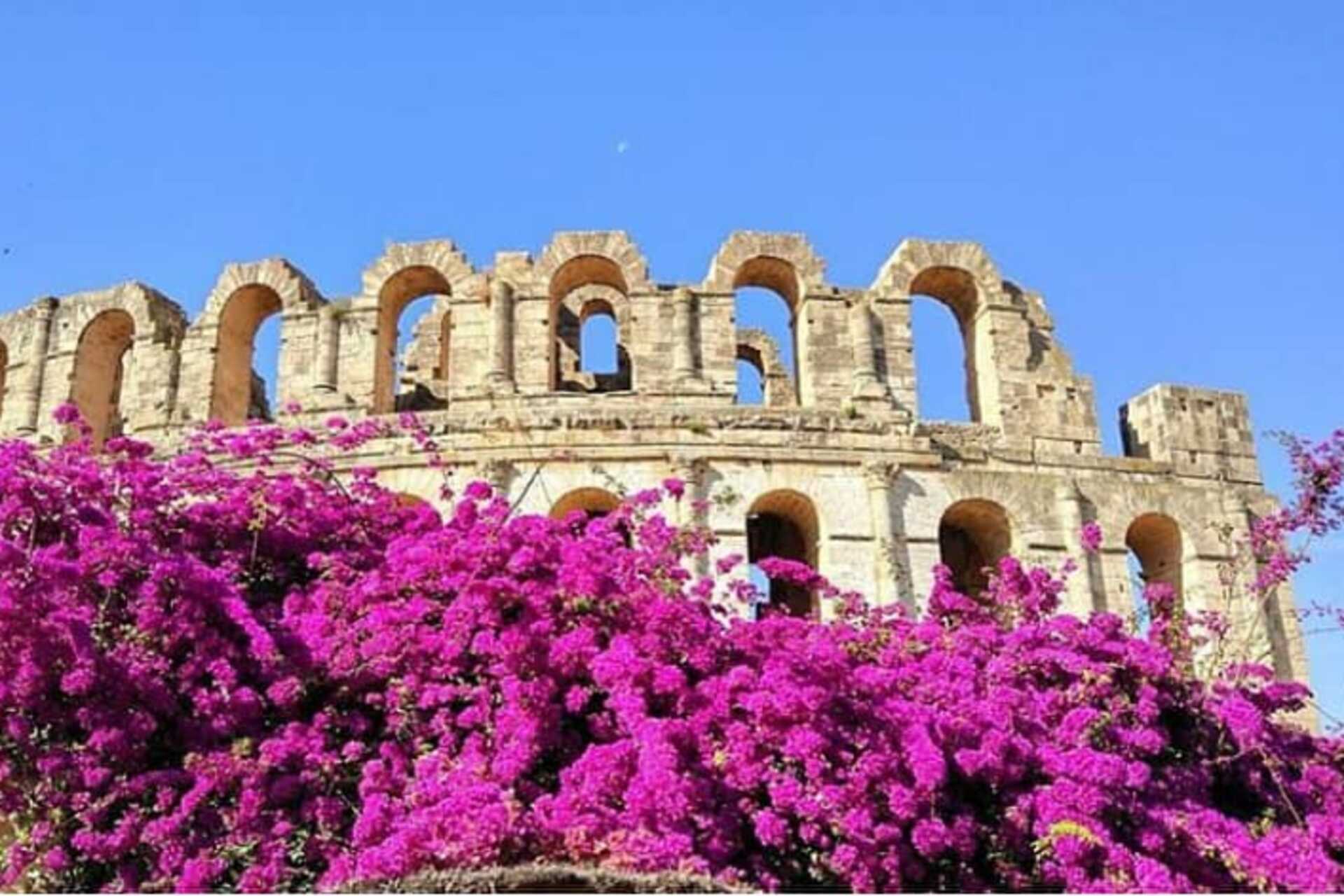 Kahden päivän matka Saharaan