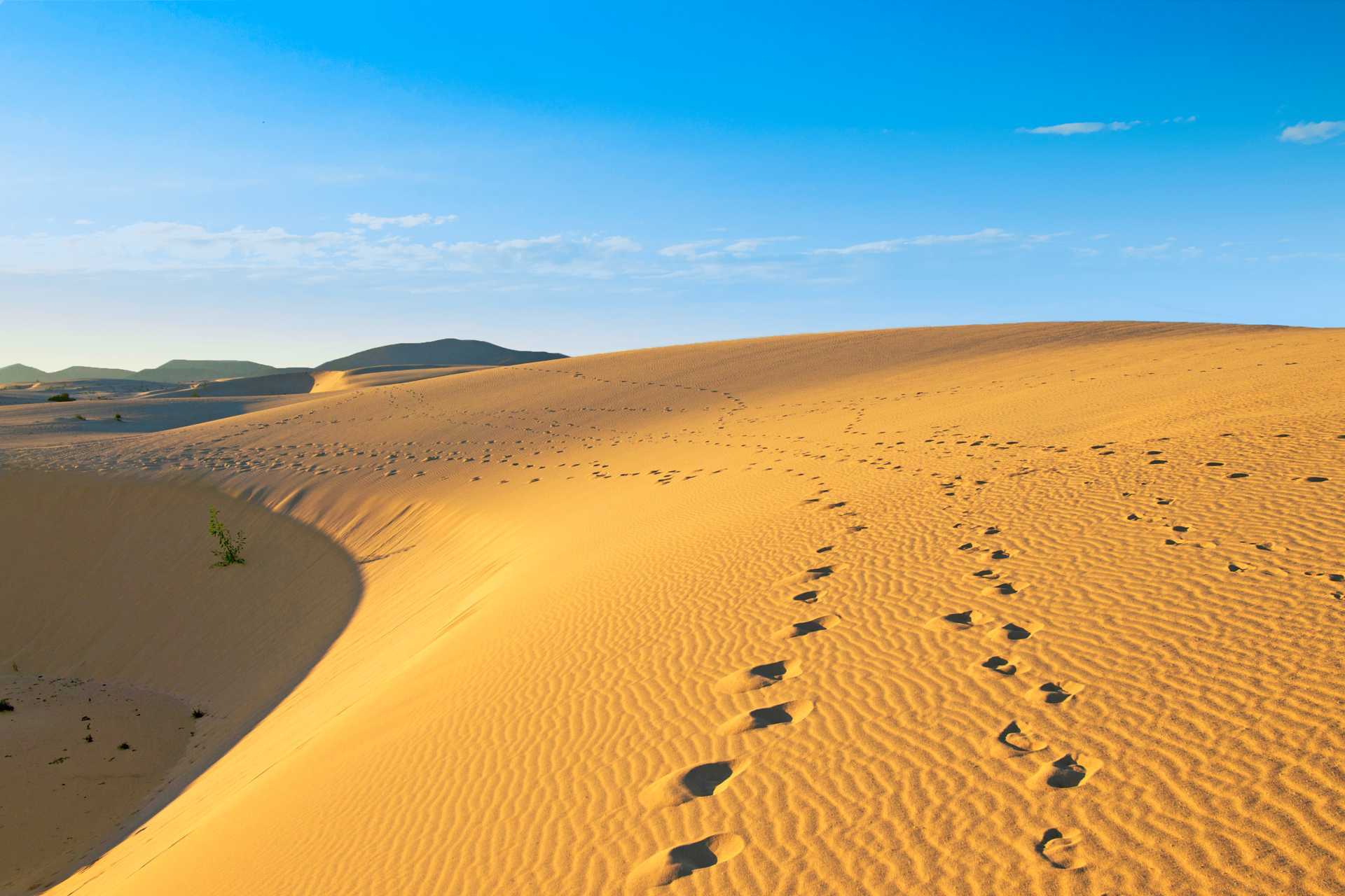 Kaunis Fuerteventura