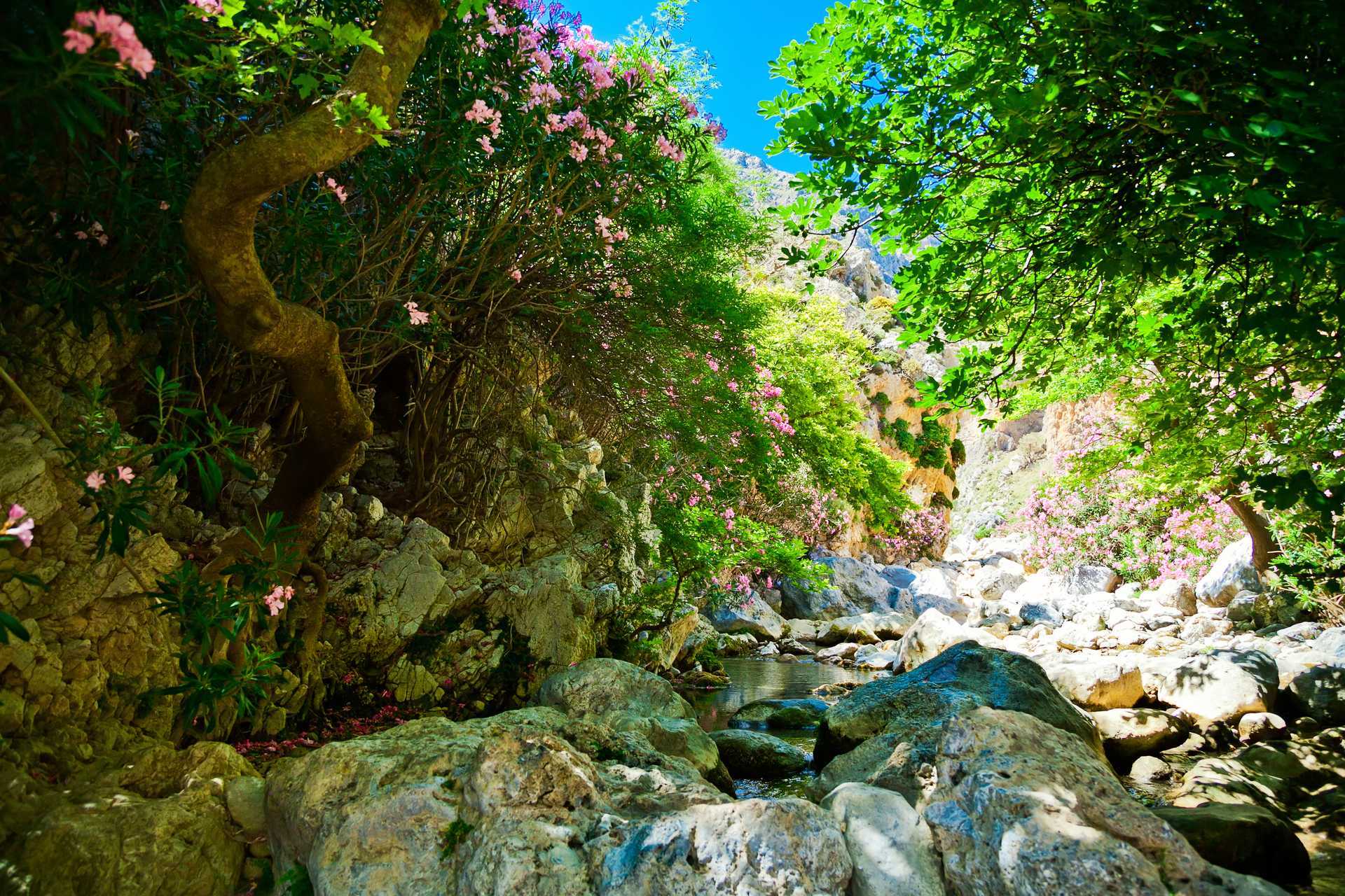 Koutalikon rotko – seikkailullinen vaellus ja Prevelin ranta