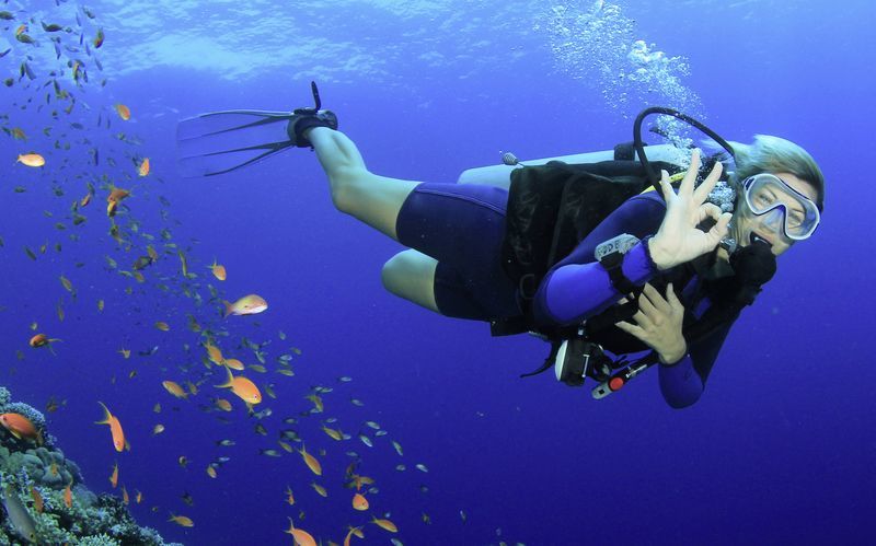 Sukellussertifikaatti - Open Water Diver