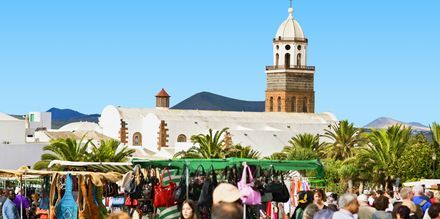 Lanzarote - Tegusien markkinat
