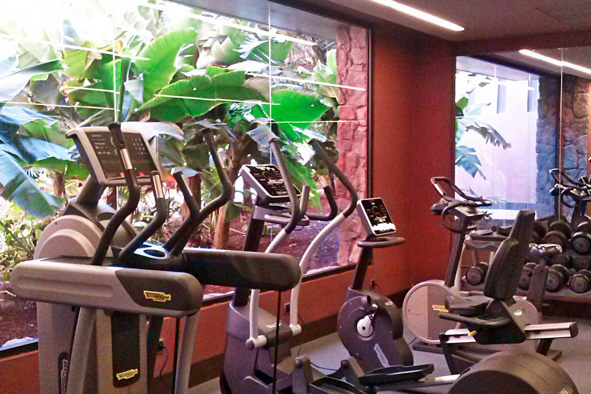 Kuntosali Lopesan Baobab Resortissa Melonerasissa, Gran Canarialla.