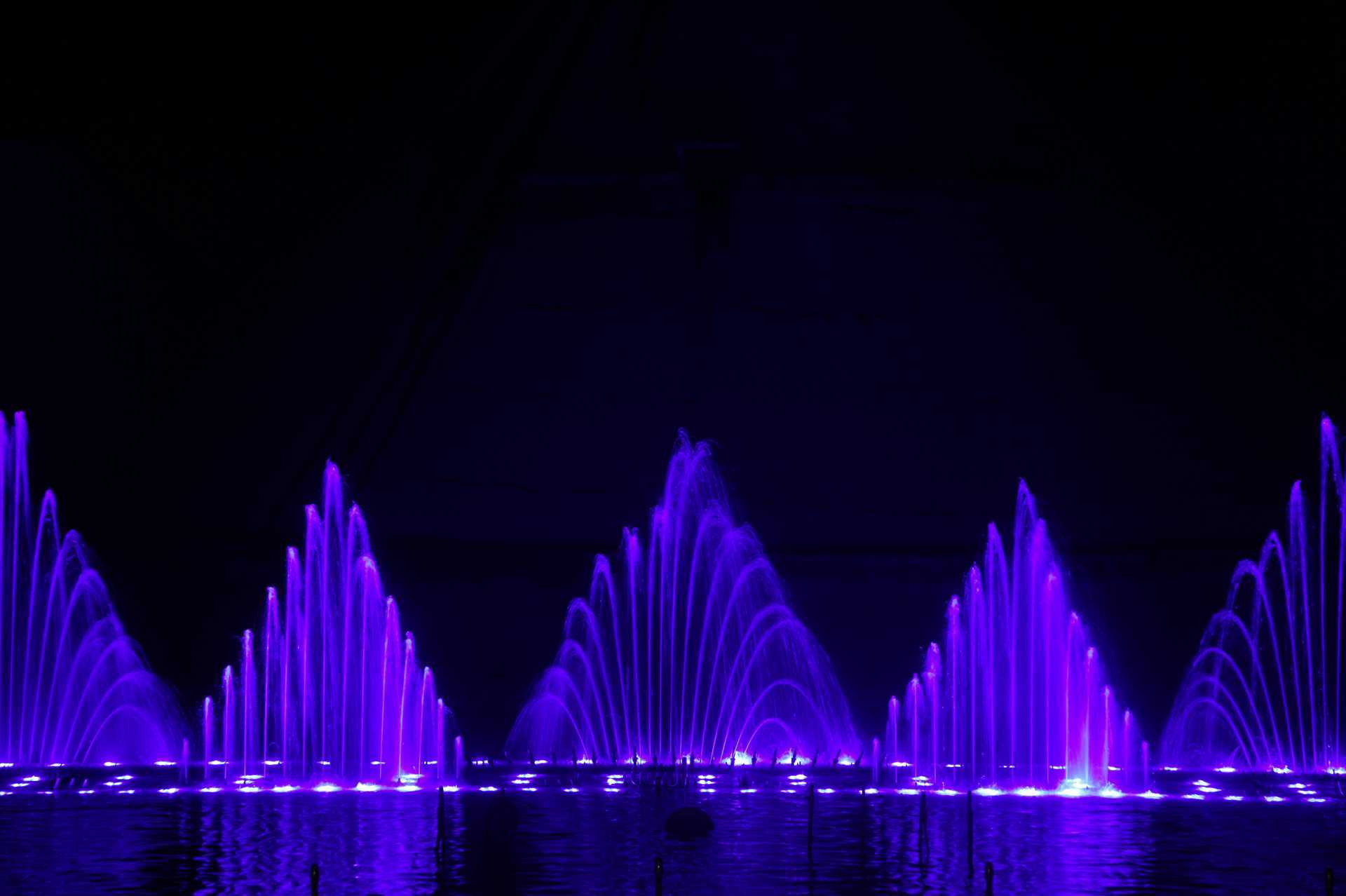 Magic Dancing Waters Fig Tree Bayssa