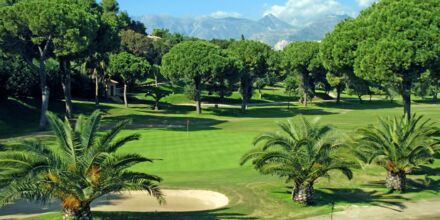 Golfia Marbellassa.