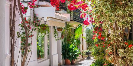Marbella & Puerto Banús