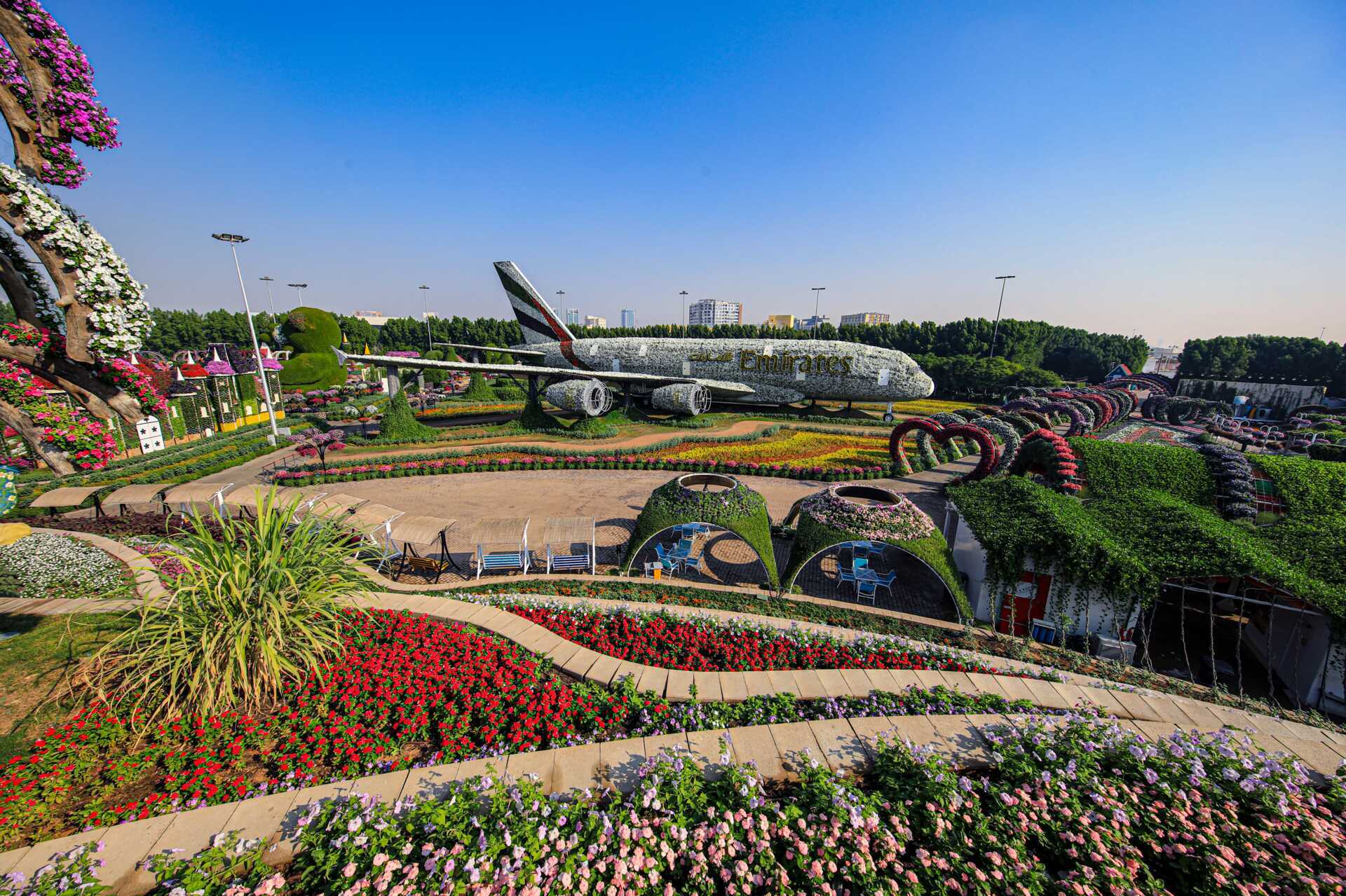 Miracle Garden