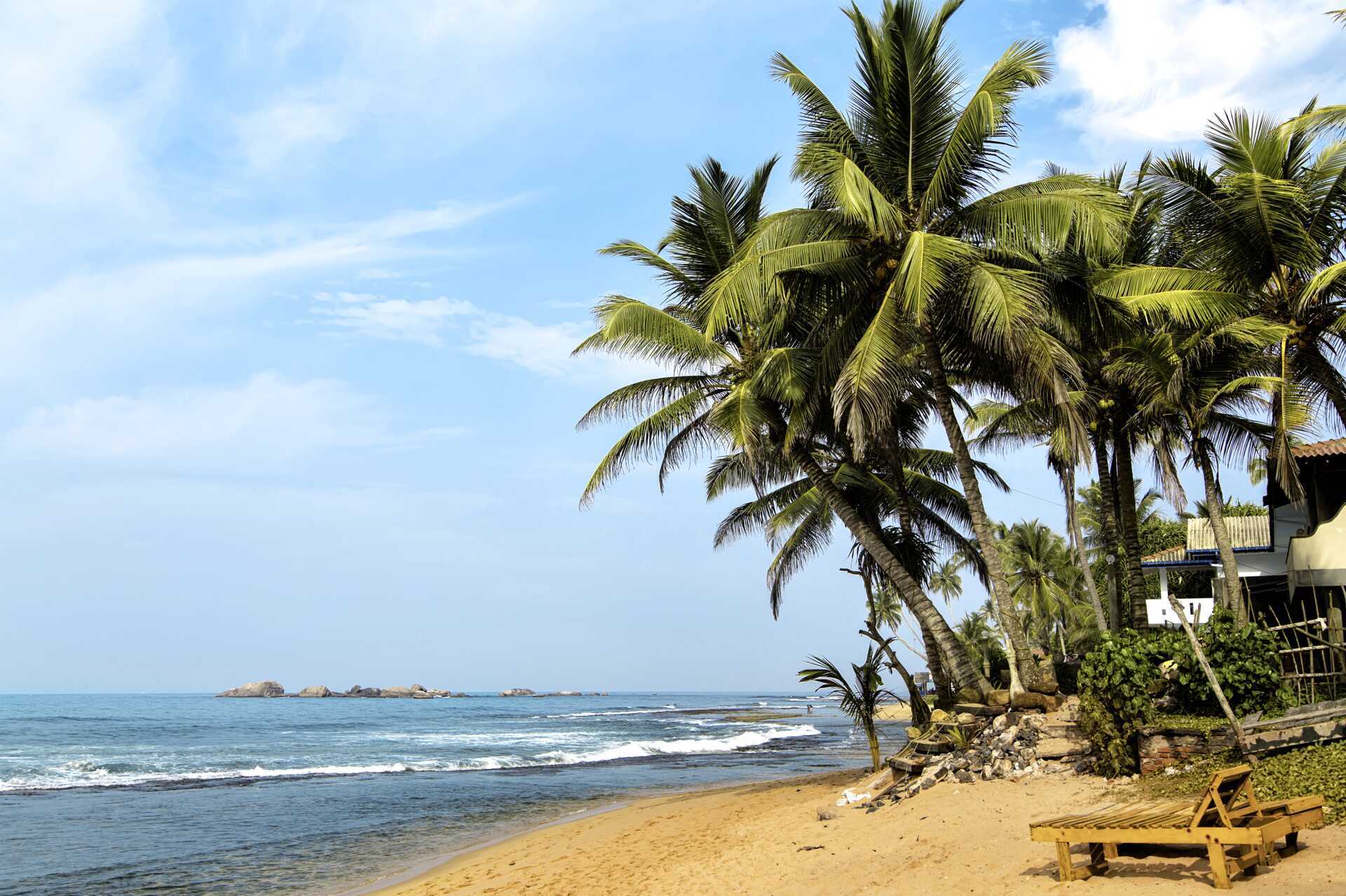 Negombon ranta. Sri Lanka.