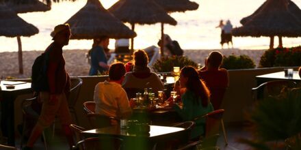 Nauti hyvistä juomista auringonlaskussa, Playa de las Americas, Teneriffa.