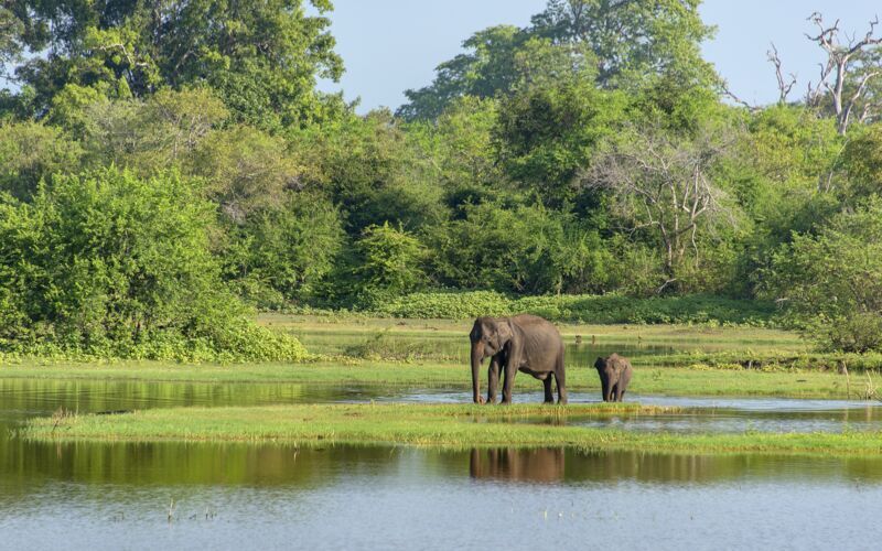 Retki leopardien alueelle - Yala National Park