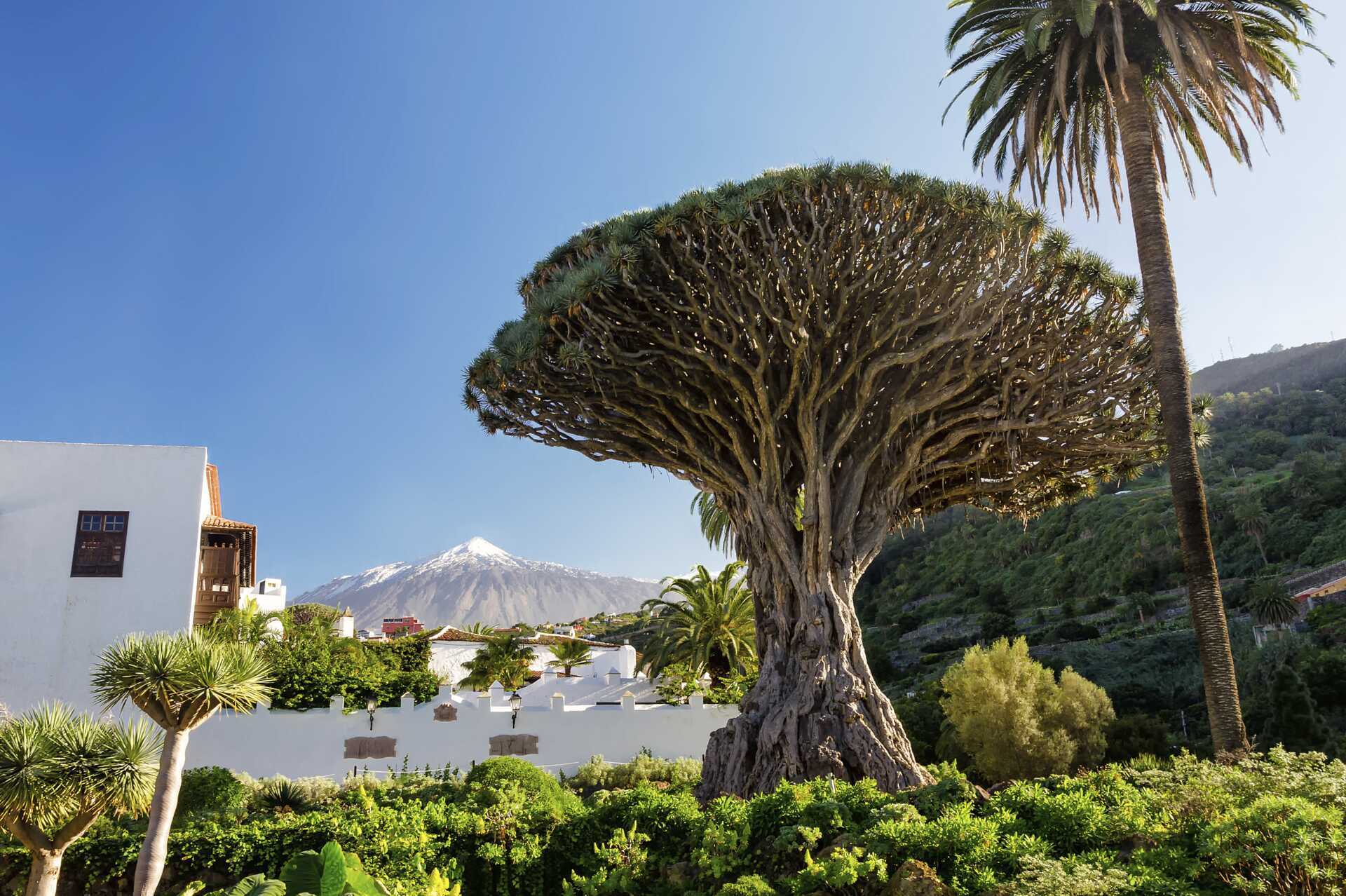 Saarikierros - kesä 2026