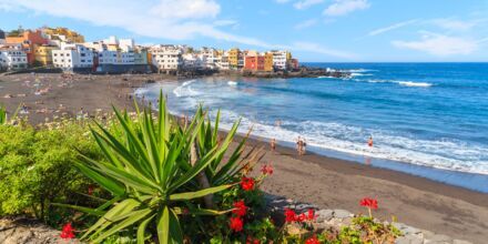 Ranta, Puerto de la Cruz, Teneriffa, Kanariansaaret.