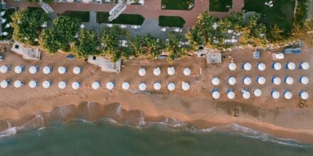 Santa Marina Beach Giannoulis Hotels -sommar 24