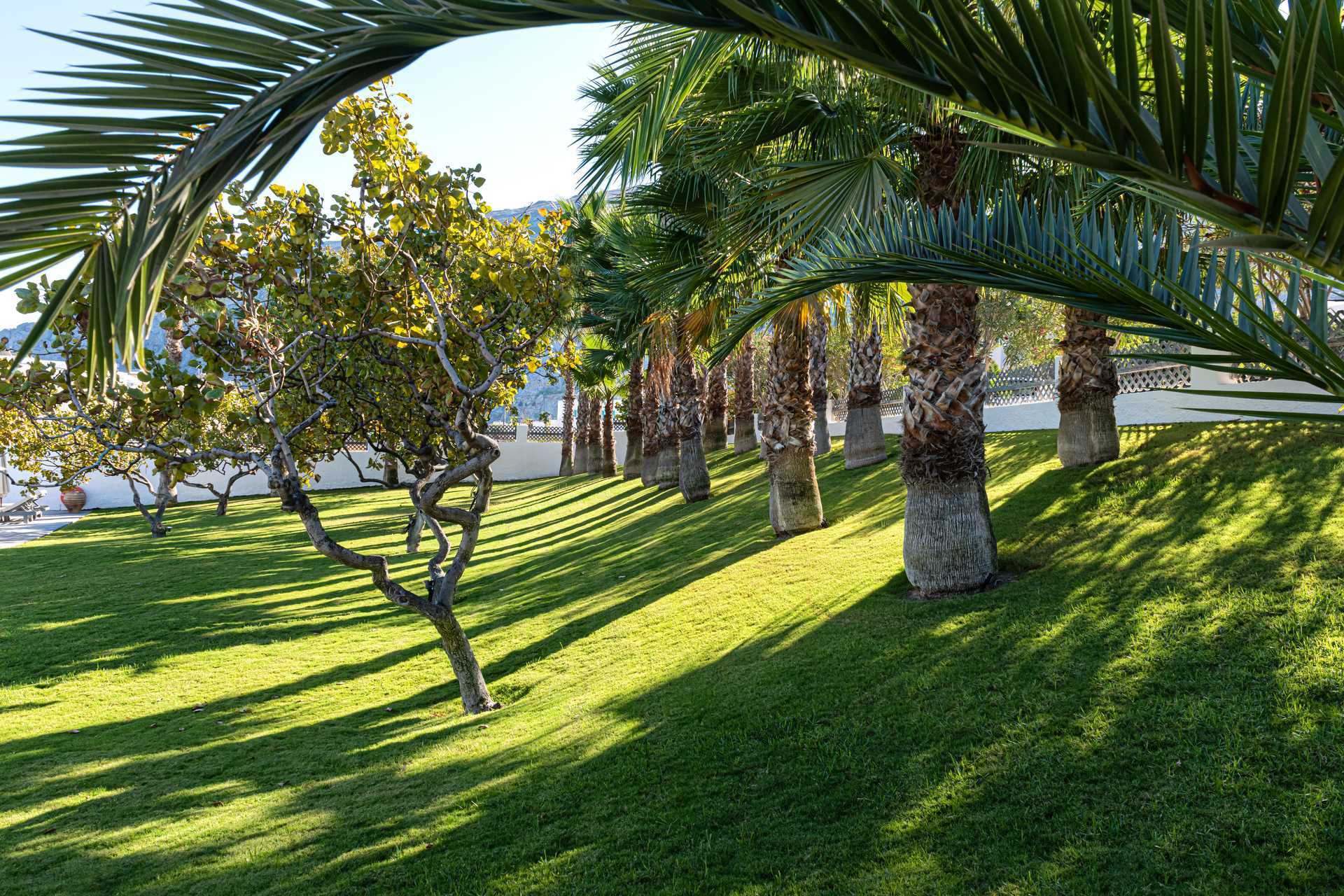 Viheralueet Santorinin Kastelli Resortissa Santorinissa, Kreikassa.