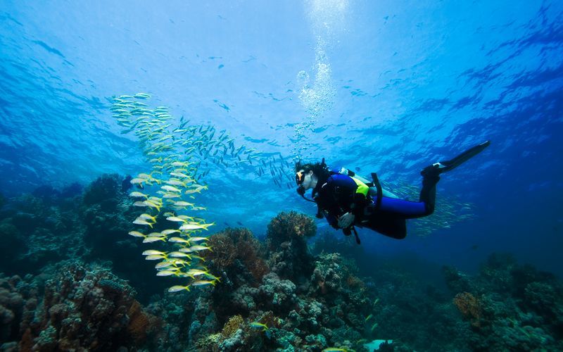 Sukelluskurssi - Advanced Open Water Dive