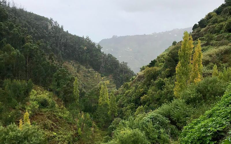 Vaellus - Serra D'Agua, 5 km