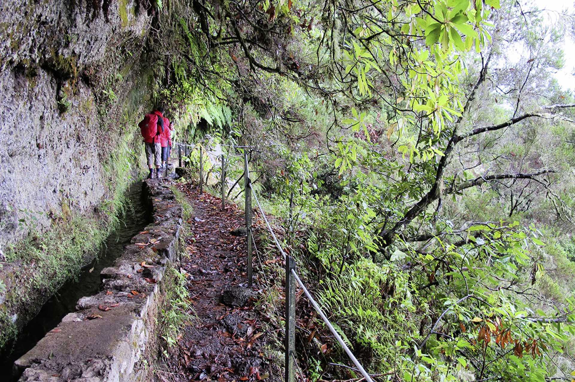 Vaellus – Queimadas/Santana, 13 km