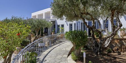 Hotelli Vasia Ormos, Agios Nikolaos, Kreeta.