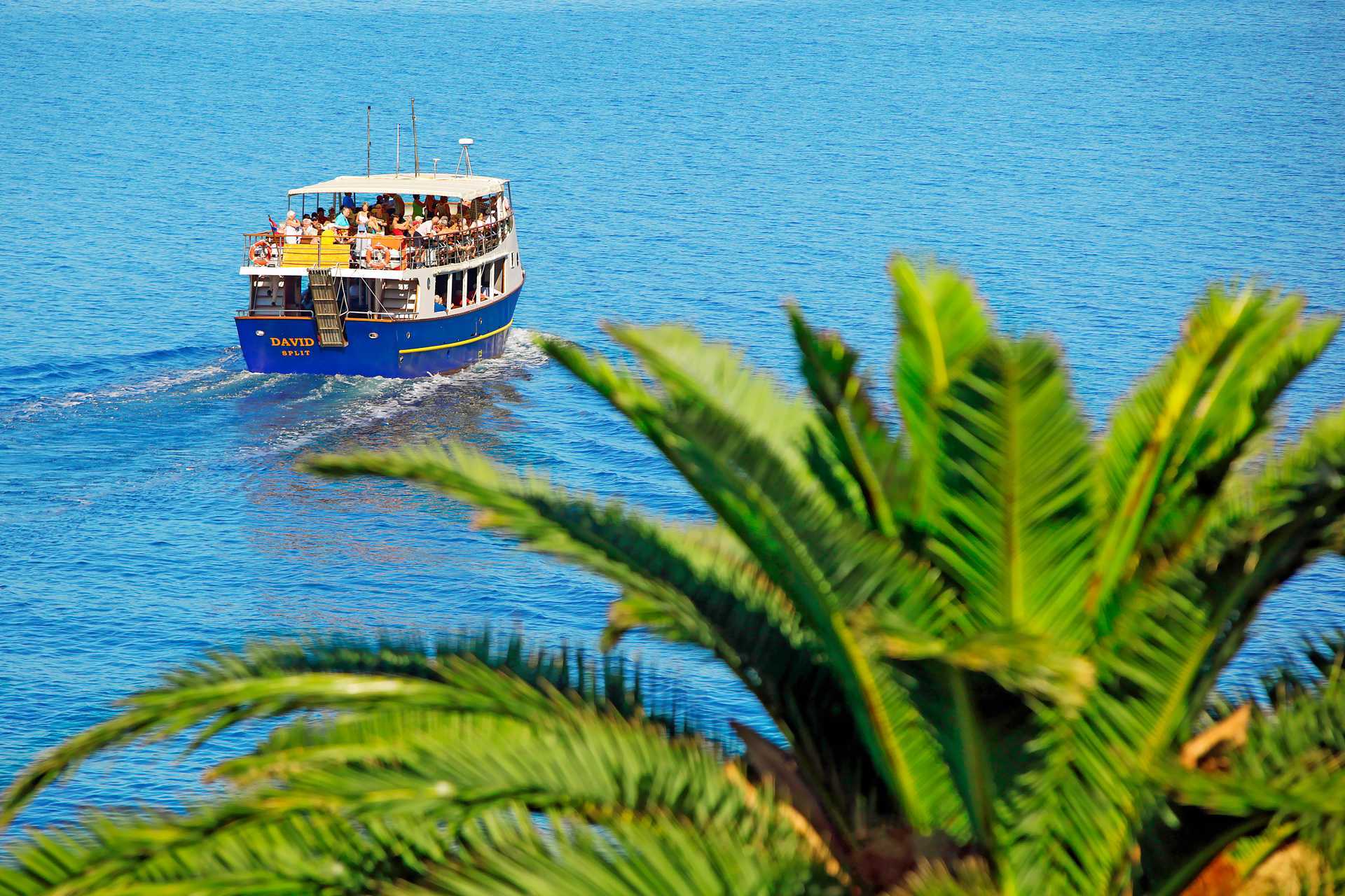 Veneretki Bračiin ja Kultaiselle sarvelle