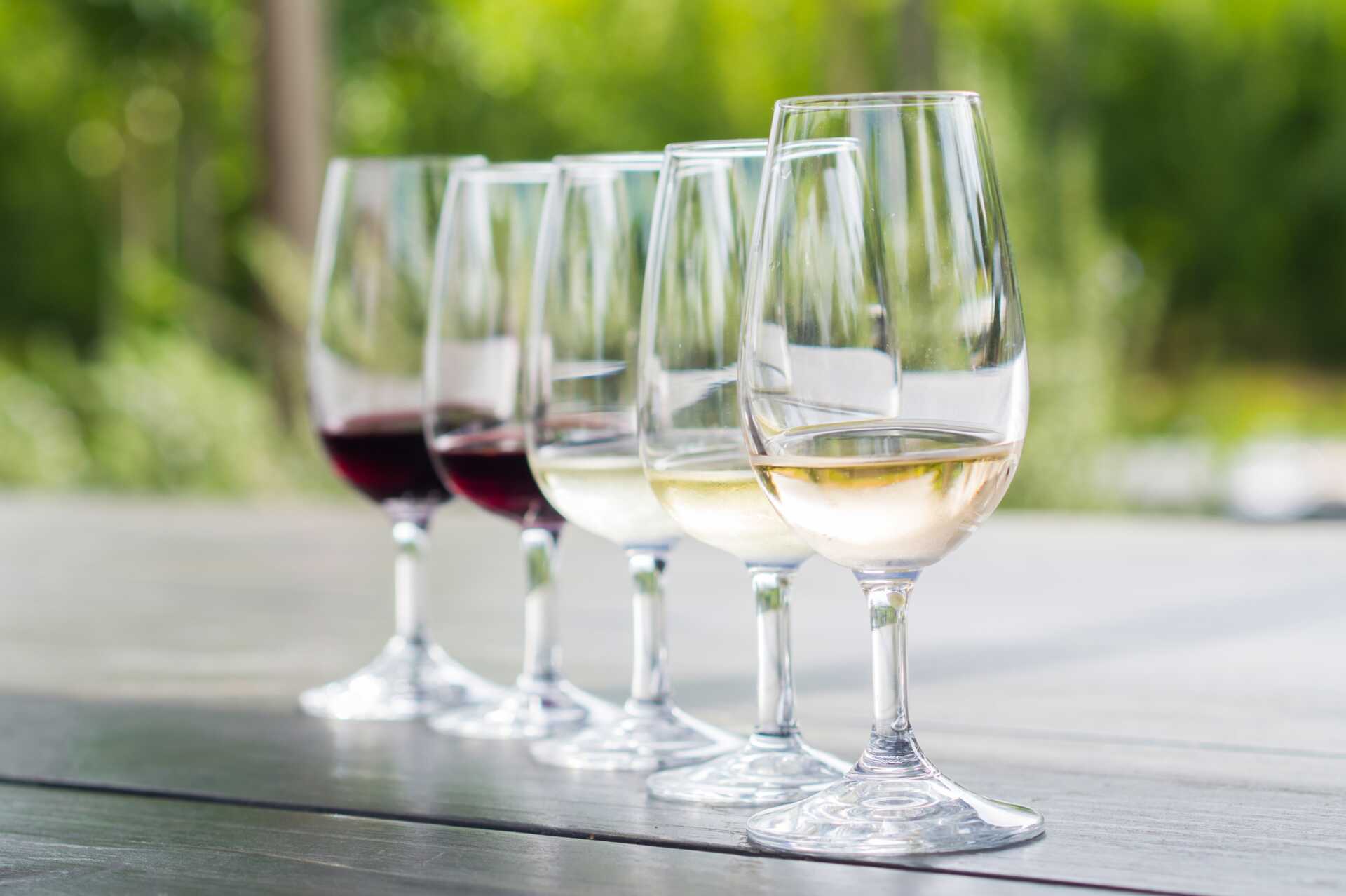 Kaksi Kapkaupungin suosituinta viinitilaa ovat Stellenbosch ja Franschhoek.